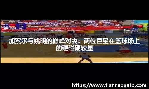 zoty中欧